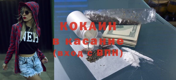 сатива Магас
