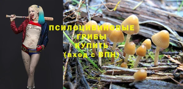прущий лед Алзамай