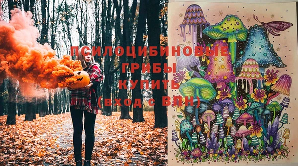 прущий лед Алзамай