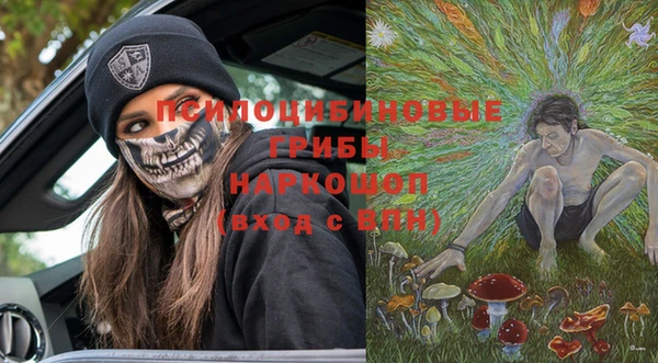 амф Абинск